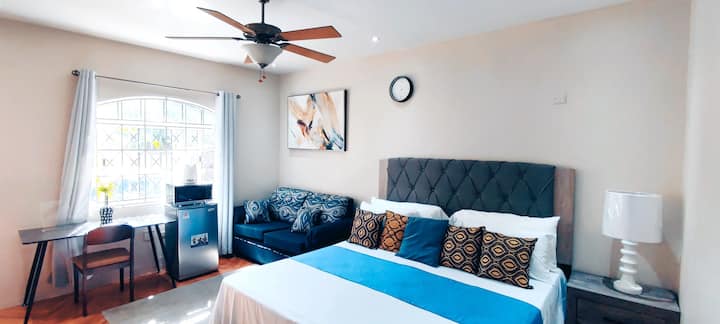 Newly furnished, spacious master bedroom