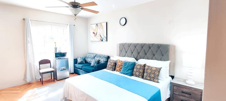Newly furnished, spacious master bedroom