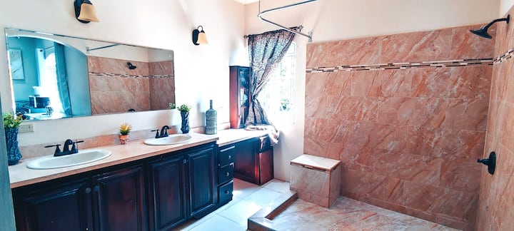 Newly furnished, spacious master bedroom