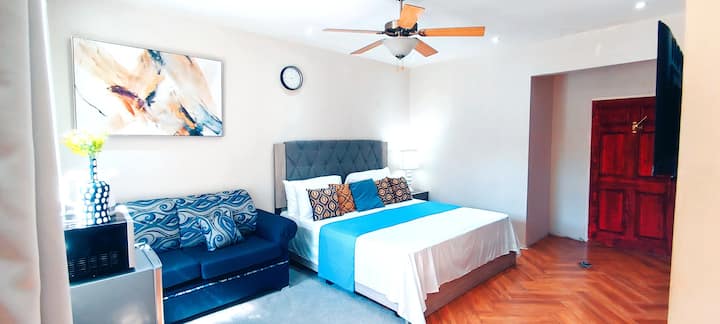 Newly furnished, spacious master bedroom